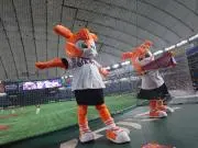 だいちゃん