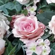 なな※プロフィール必読※