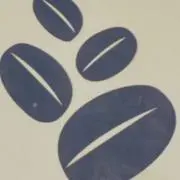 KOHEEの画像