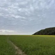 いぶきの画像