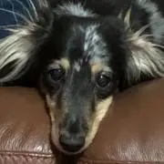 ちゃーちゃん♡プロフィール必読！！
