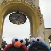 rの画像