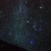ココナッツの画像
