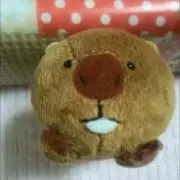 ほのぼののほほん