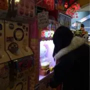 彩の画像