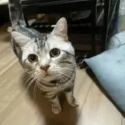ryotaの画像