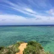 Okitoriの画像