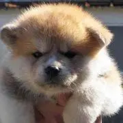 たむたむ♡値下げ交渉受け付けます♡