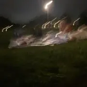 ぺねろぺの画像