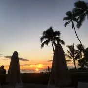 Image of ALOHA