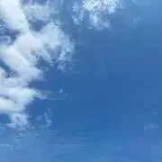 くまの画像