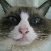 ミーナ