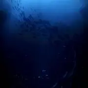佐倉の画像