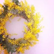 みもの画像