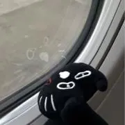 しょこらの画像