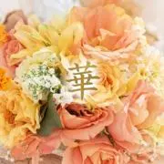 華の画像