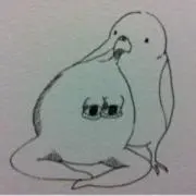 Nの画像