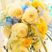 みずまる◎即購入，まとめ売りも大歓迎☺︎の画像