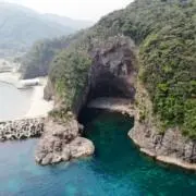 タフの画像