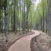 yagi