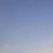 わんの画像