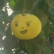 Image of おほしさま