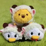 断捨離中☆ミィシー☆の画像