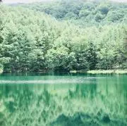 スーの画像