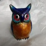 takaraの画像