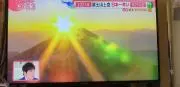 スヌピ