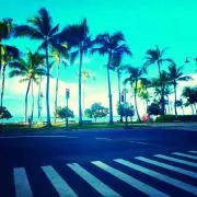 ma☆即日発送心がけております◎の画像