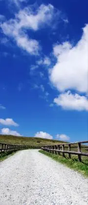 ぱふPの画像