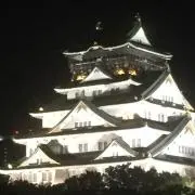 やす