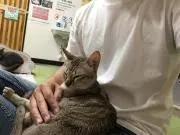筑波寛基の画像