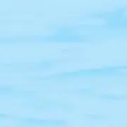 ゆうゆうの画像