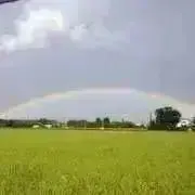 Keeeの画像