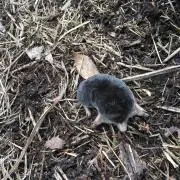 ビン姿。の画像