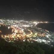 しーたの画像