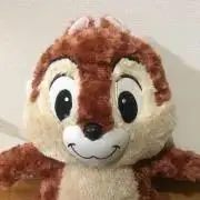 ABCカナブンの画像