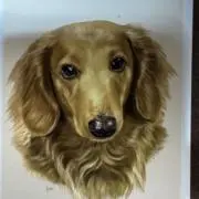 あいすの画像