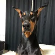とも
