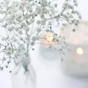 ☆2/10-16まで発送不可の画像