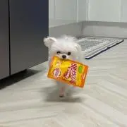 Rの画像