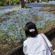 にゃは＊即購入ok＊まとめ割＊の画像