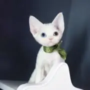 無梨甚八