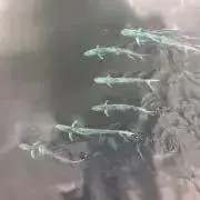 台北の画像