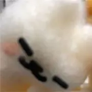 まゆもりの画像