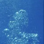 たけ