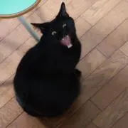 KUROの画像