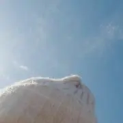 s.fuの画像